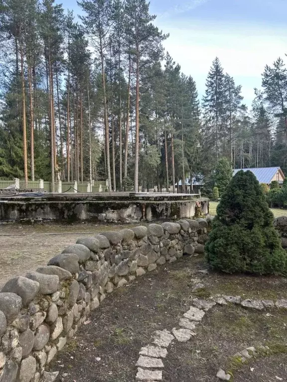 Участок в Ленинградская область, Всеволожский район, Сертоловское ... - Фото 1