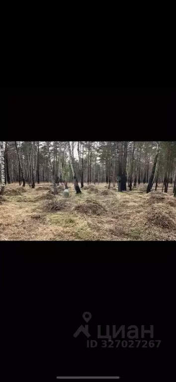 Участок в Красноярский край, Емельяновский муниципальный округ, ... - Фото 2