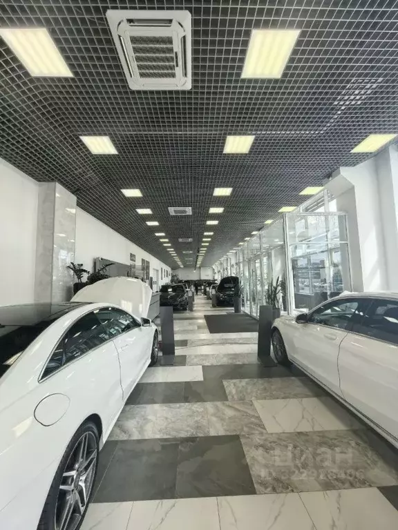 Торговая площадь в Пермский край, Пермь ул. Окулова, 75к3 (640 м) - Фото 1