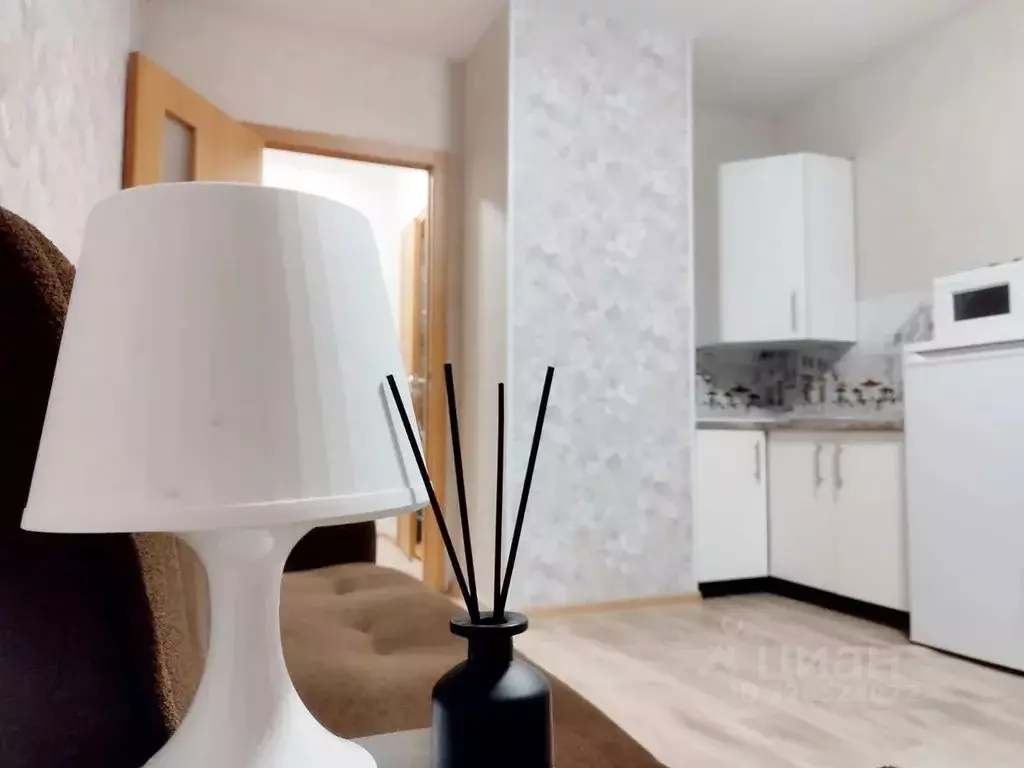 Студия Санкт-Петербург ул. Бабушкина, 84к2 (30.0 м) - Фото 1