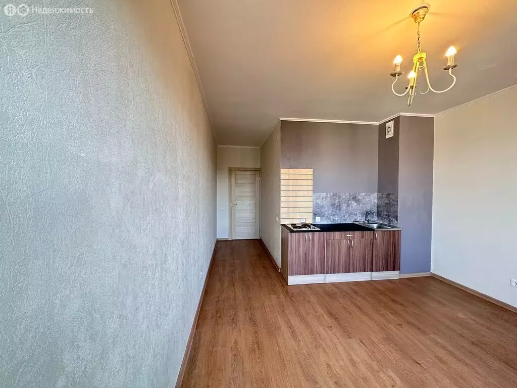 Квартира-студия: Мурино, улица Шувалова, 5 (25.9 м) - Фото 0
