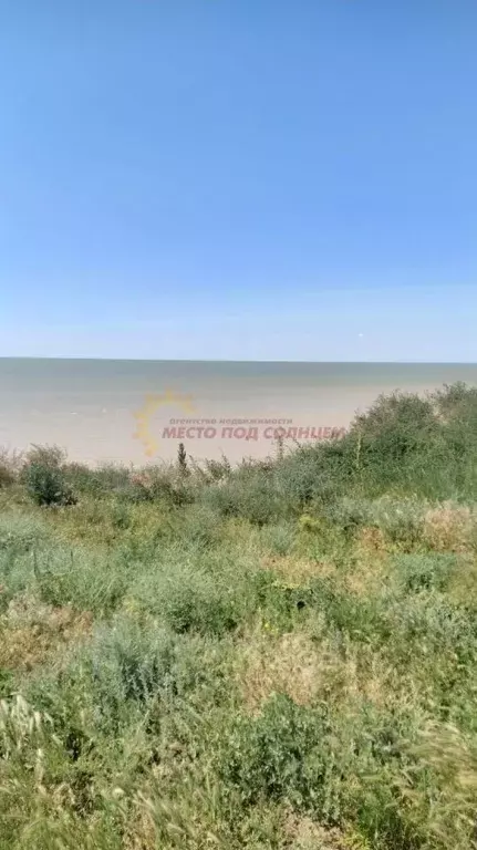 Участок в Краснодарский край, Щербиновский район, Шабельское с/пос, с. ... - Фото 2