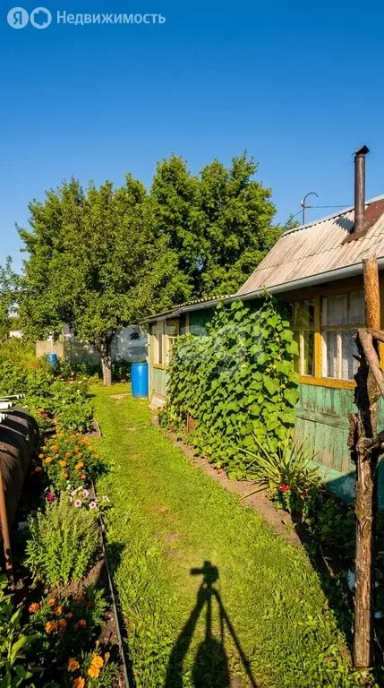 Участок в Курган, СНТ Строитель-3 (5.92 м) - Фото 2