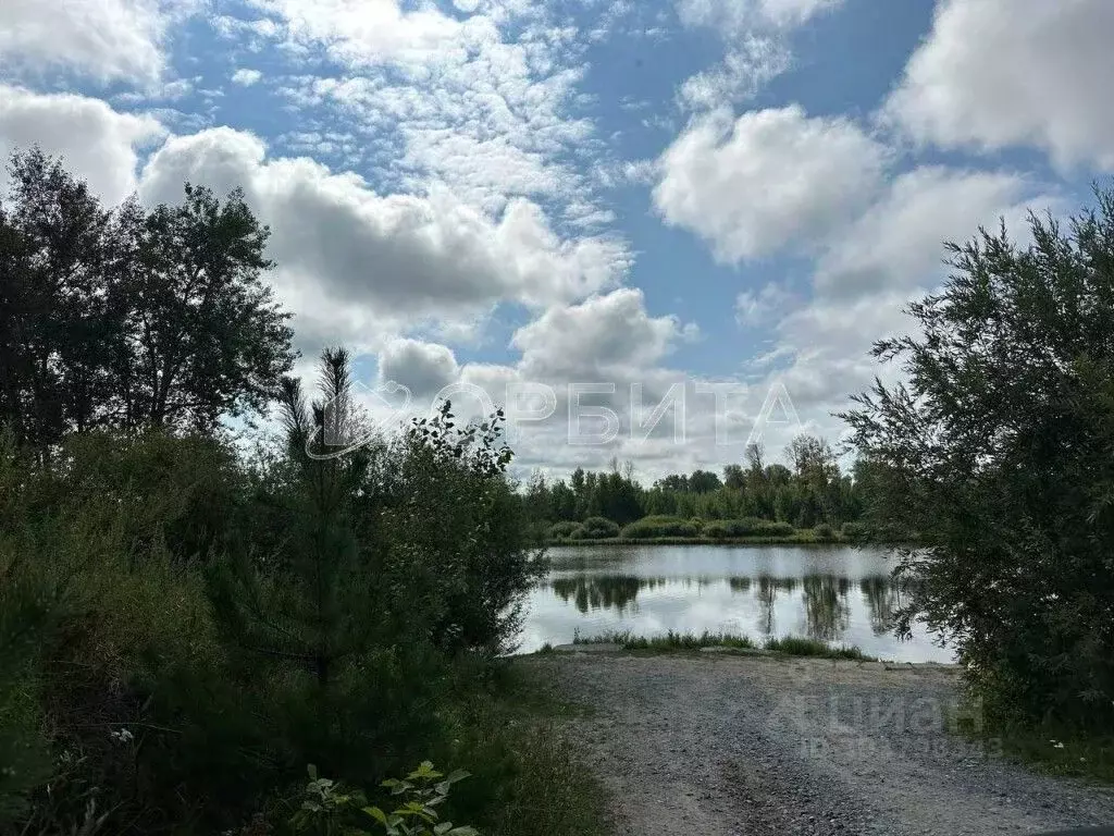 Участок в Тюменская область, Тюменский район, д. Молчанова  (26.93 ... - Фото 0