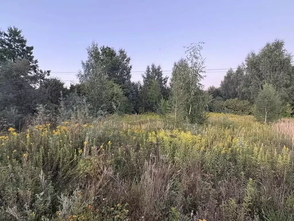 Участок в Московская область, Богородский городской округ, д. ... - Фото 1