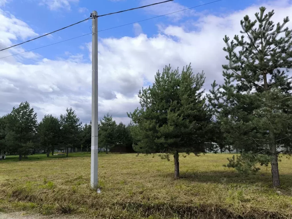 Участок в Московская область, Раменский муниципальный округ, Лесная ... - Фото 2