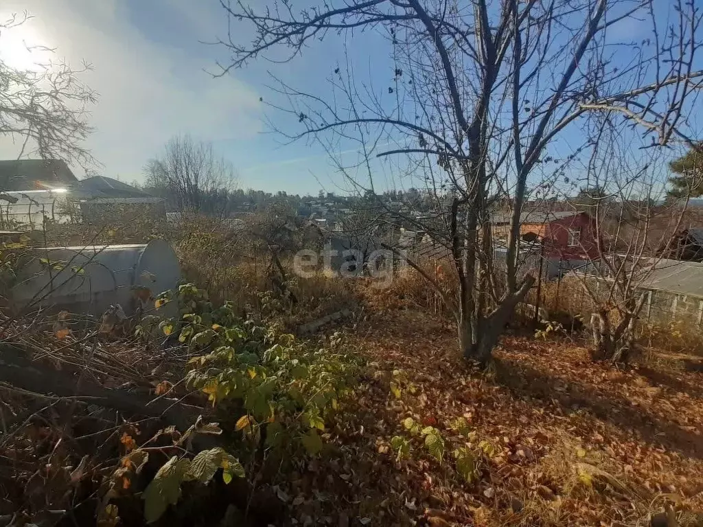 Участок в Иркутская область, Иркутский муниципальный округ, Кедр СНТ ... - Фото 1