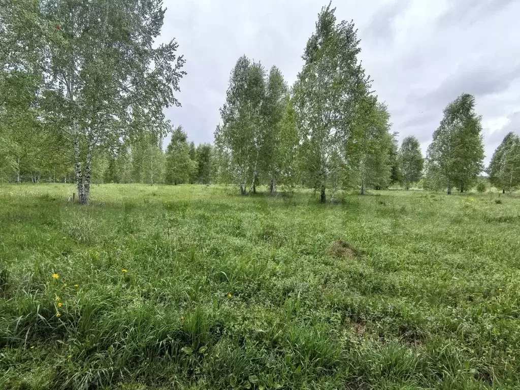 Участок 8 сот. (СНТ, ДНП) - Фото 0