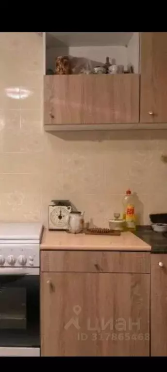 1-к кв. Воронежская область, Воронеж Тепличная ул., 2 (38.0 м) - Фото 1