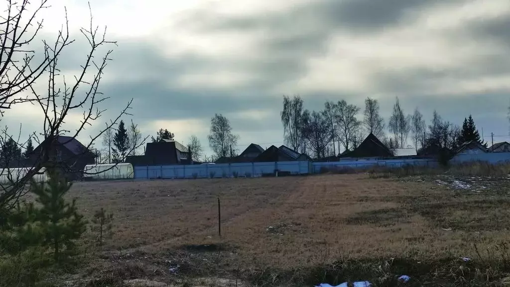 Участок в Суздальский район, муниципальное образование Селецкое, село ... - Фото 1