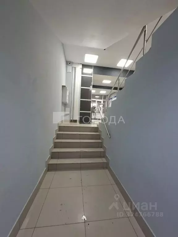 Помещение свободного назначения в Новосибирская область, Новосибирск ... - Фото 2