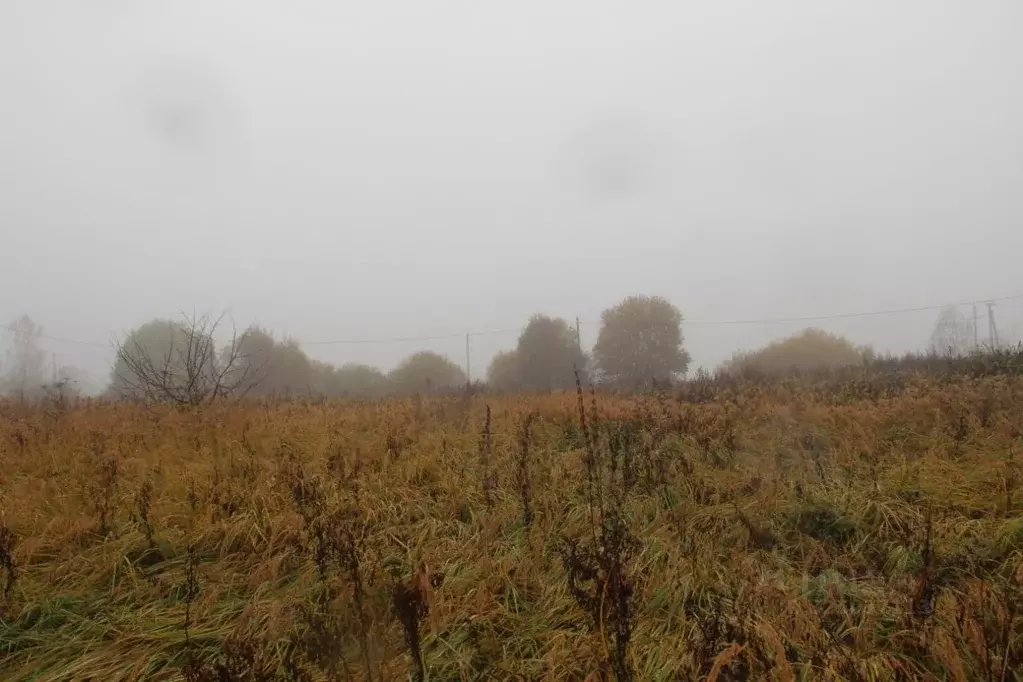 Участок в Московская область, Шаховская муниципальный округ, д. ... - Фото 1