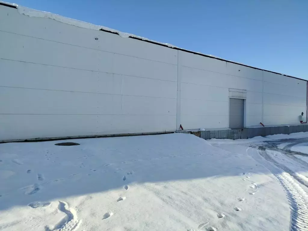 Склад в Новосибирская область, Новосибирск просп. Дзержинского, 140/1 ... - Фото 2