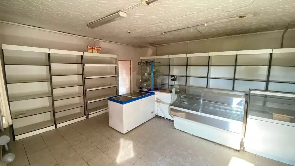 Торговая площадь в Костромская область, Шарьинский район, пос. Зебляки ... - Фото 1