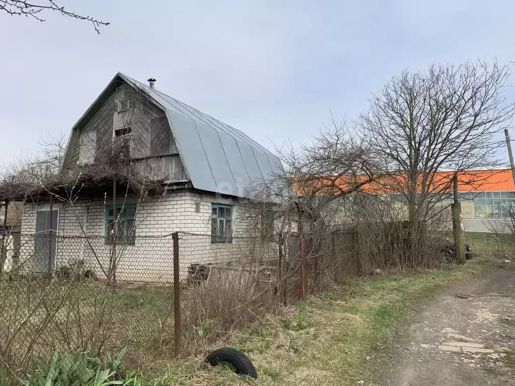 Участок в Брянская область, Брянск Дружное садоводческое товарищество, ... - Фото 0