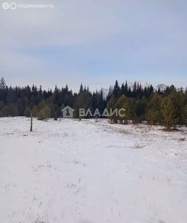 Участок в Тункинский район, сельское поселение Толтой (15 м) - Фото 1