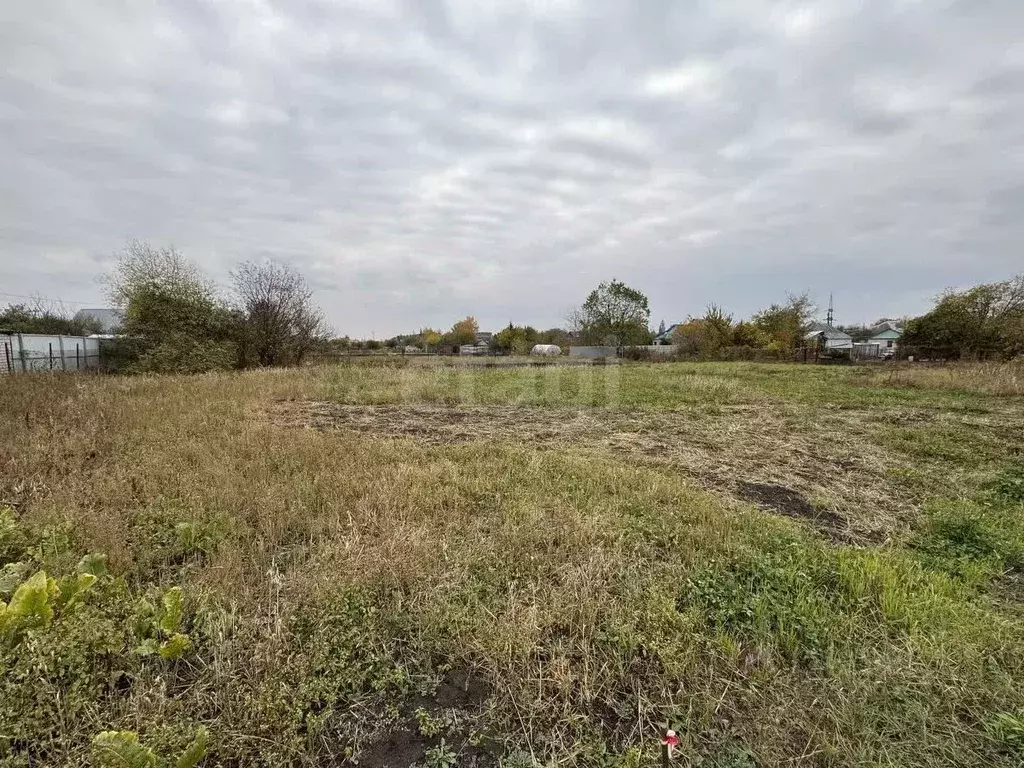 Участок в Курская область, Курский район, д. Щетинка 155 (7.0 сот.) - Фото 1