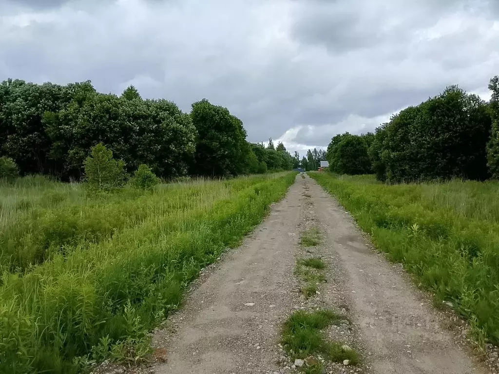 Участок, 6.4 сот., сельхоз (снт или днп) - Фото 0