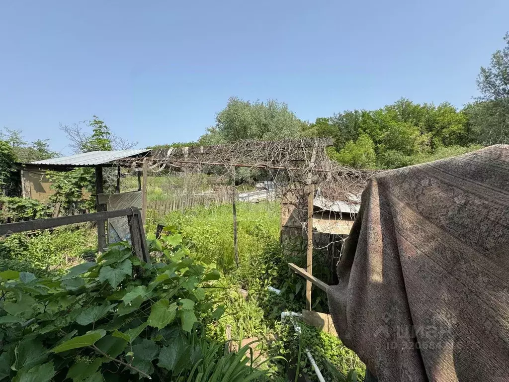 Дом в Оренбургская область, Оренбург Учитель СТ, ул. Учителей (40 м) - Фото 2