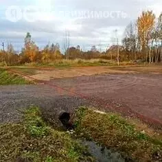 Участок в Ромашки, Новодеревенская улица, 70 (12 м) - Фото 1