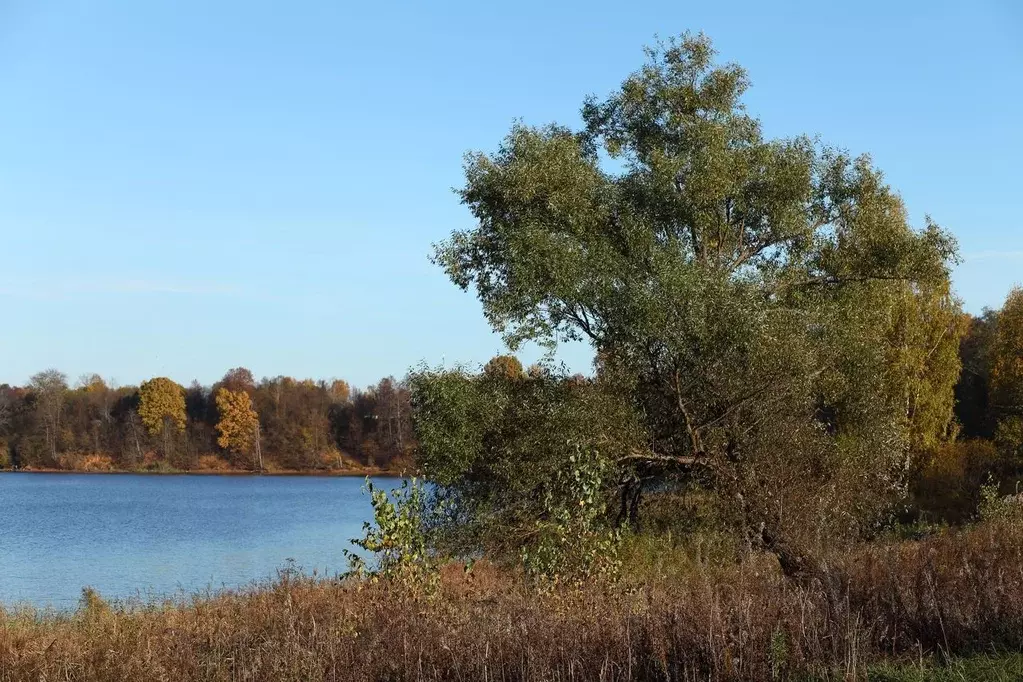 Участок в Московская область, Волоколамский муниципальный округ, КП ... - Фото 2