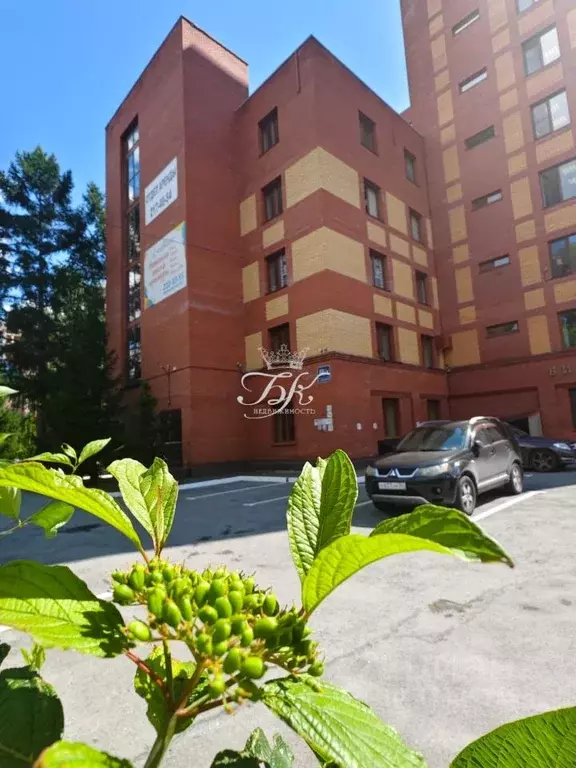 Офис в Новосибирская область, Новосибирск Ядринцевская ул., 68/1 (245 ... - Фото 2