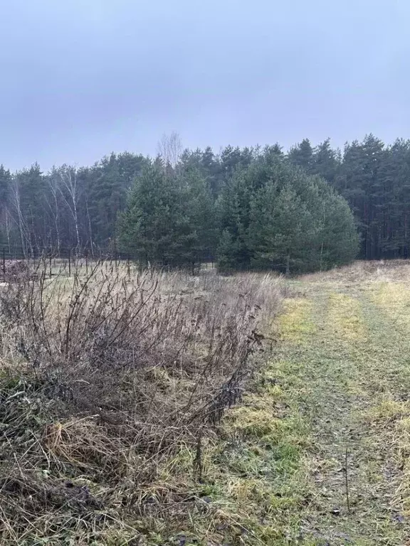 Участок в Костромская область, Красносельский район, Сидоровское ... - Фото 2