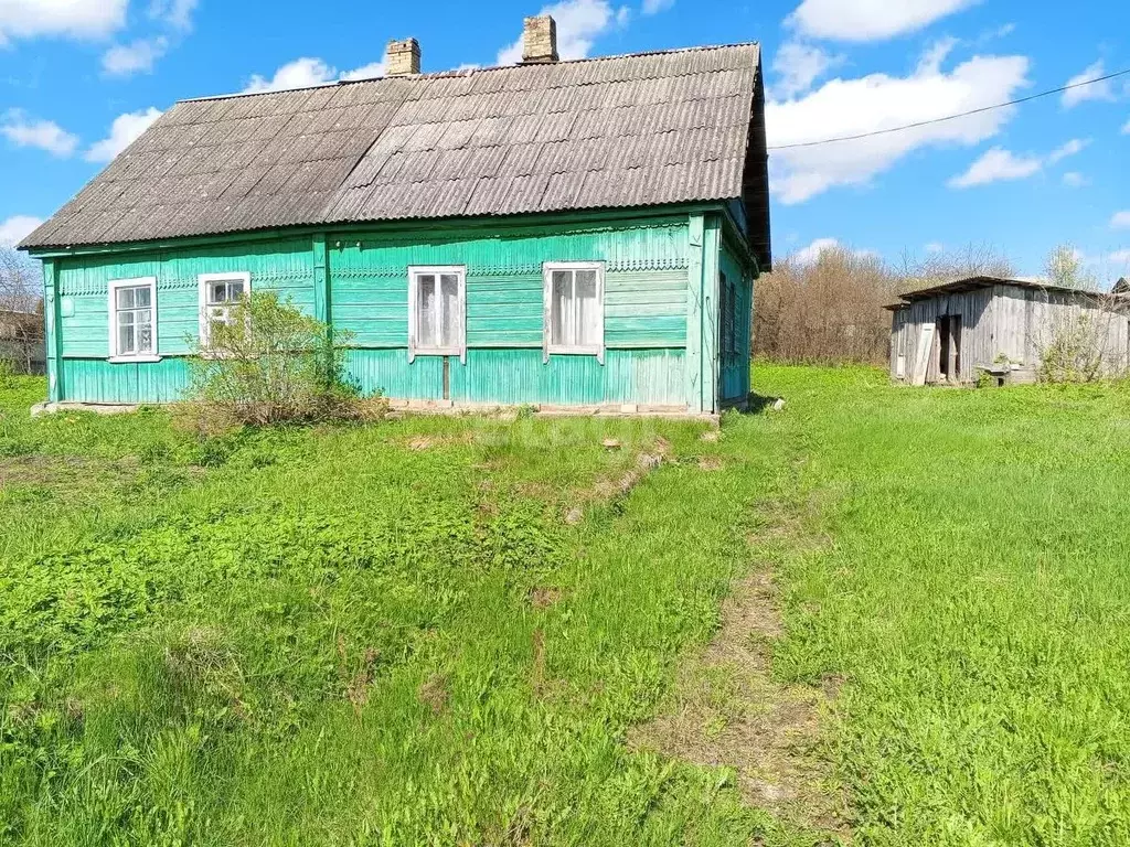 Дом в Псковская область, Остров ул. Матвея Егорова, 19 (57 м) - Фото 1