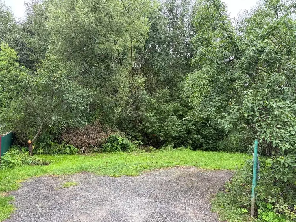 Участок в Московская область, Ступино городской округ, д. Соколова ... - Фото 1