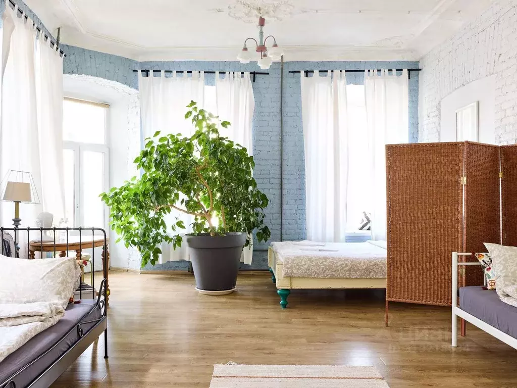 Комната Санкт-Петербург пер. Гривцова, 2 (34.0 м) - Фото 0
