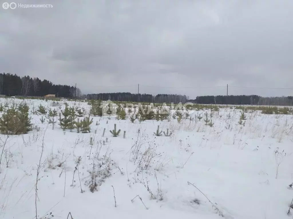 Участок в посёлок городского типа Емельяново, 2-я Долинная улица (15 ... - Фото 1