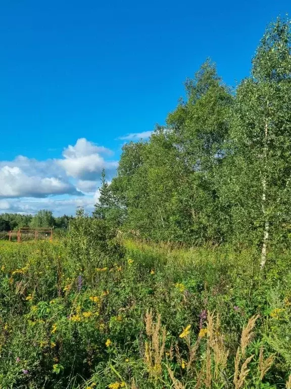 Участок в Московская область, Серпухов городской округ, д. Сераксеево  ... - Фото 2