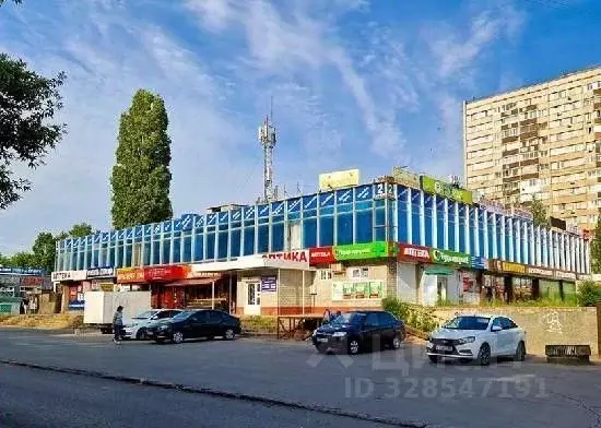Торговая площадь в Самарская область, Тольятти ул. Фрунзе, 23 (45 м) - Фото 1