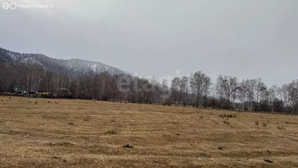 Участок в Усть-Коксинский район, посёлок Гагарка, Луговая улица (18 м) - Фото 1