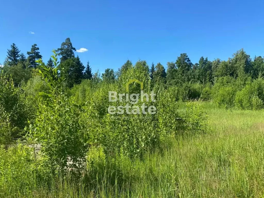 Участок в Московская область, Одинцовский городской округ, пос. ... - Фото 1