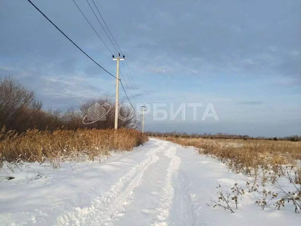 Участок в Тюменская область, Нижнетавдинский район, Березка СНТ  (10.0 ... - Фото 1