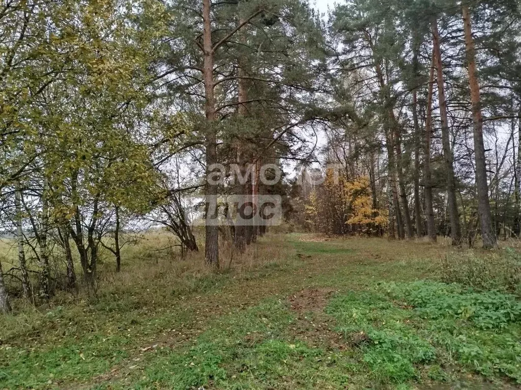Участок в Московская область, Серпухов городской округ, д. ... - Фото 0