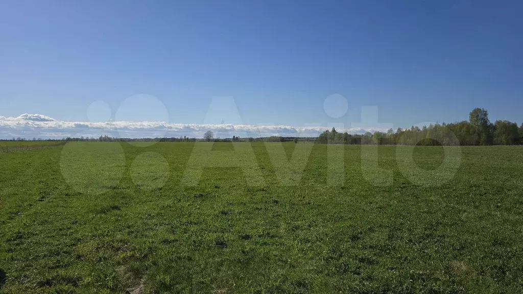 Участок 3,64 га (СНТ, ДНП) - Фото 1