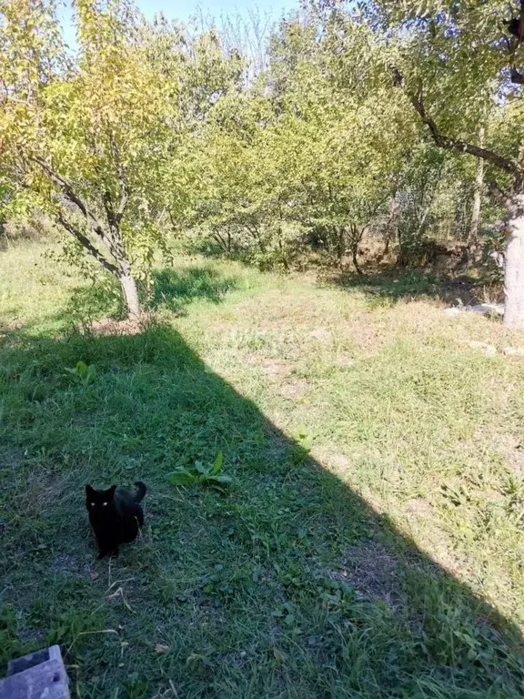 Участок в Краснодарский край, Анапа Алексеевка мкр, ул. Родниковая, 11 ... - Фото 1