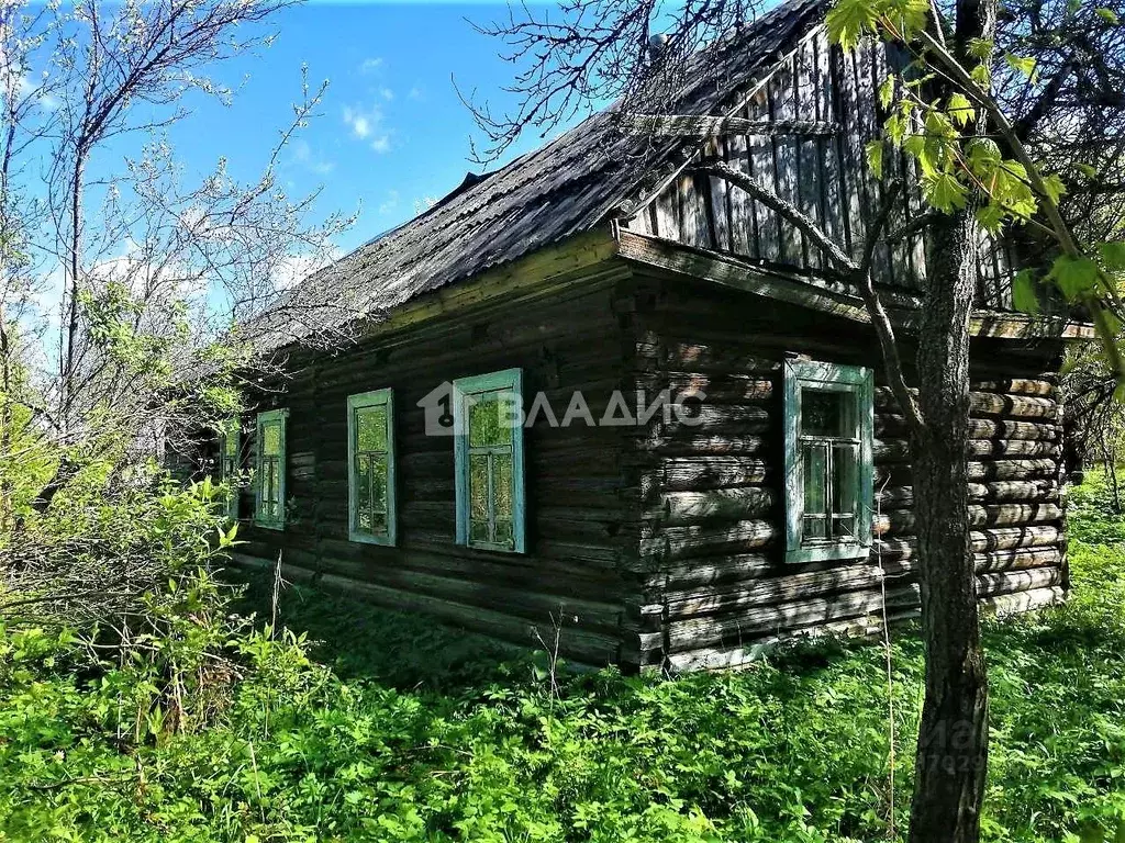 Дом в Калужская область, Думиничский район, с. Брынь Татарская ул. (43 ... - Фото 0