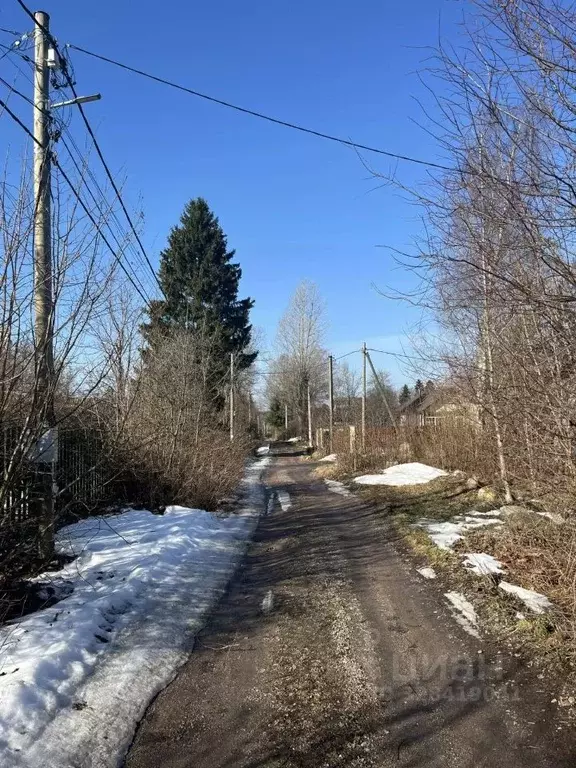 Дом в Ленинградская область, Выборгский район, Рощино пгт, Лесное СНТ ... - Фото 2