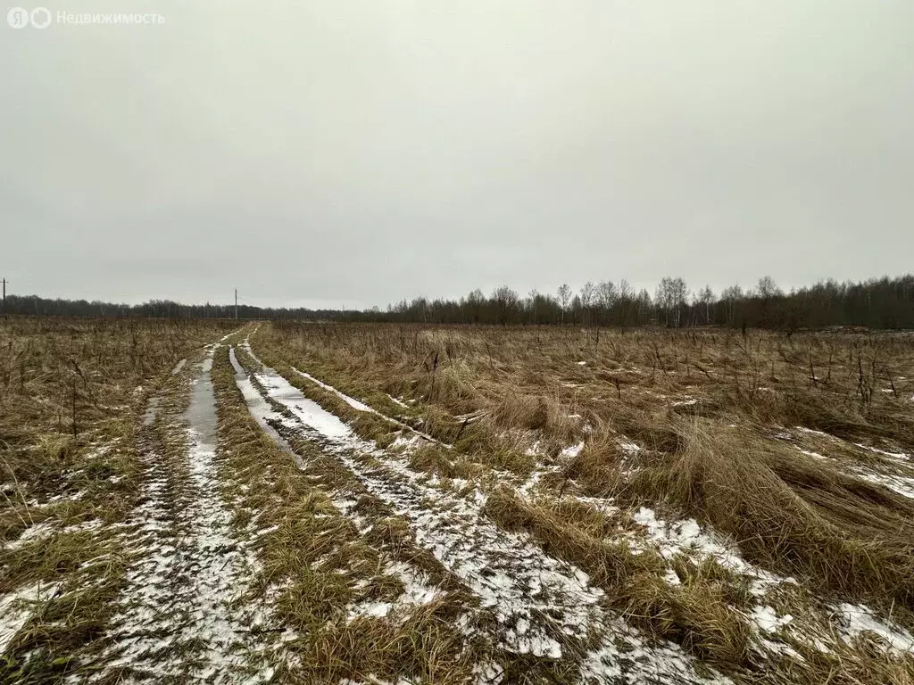 Участок в Сергиево-Посадский городской округ, деревня Малинники (1400 ... - Фото 2