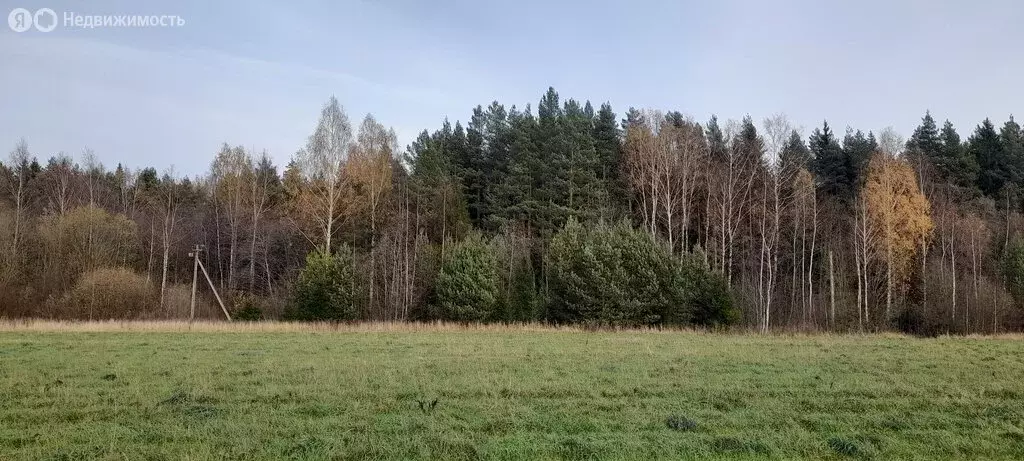 Участок в Московская область, городской округ Клин, рабочий посёлок ... - Фото 1