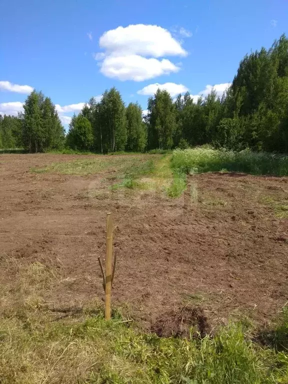 Участок в Вологодская область, Кирилловский муниципальный округ, д. ... - Фото 1