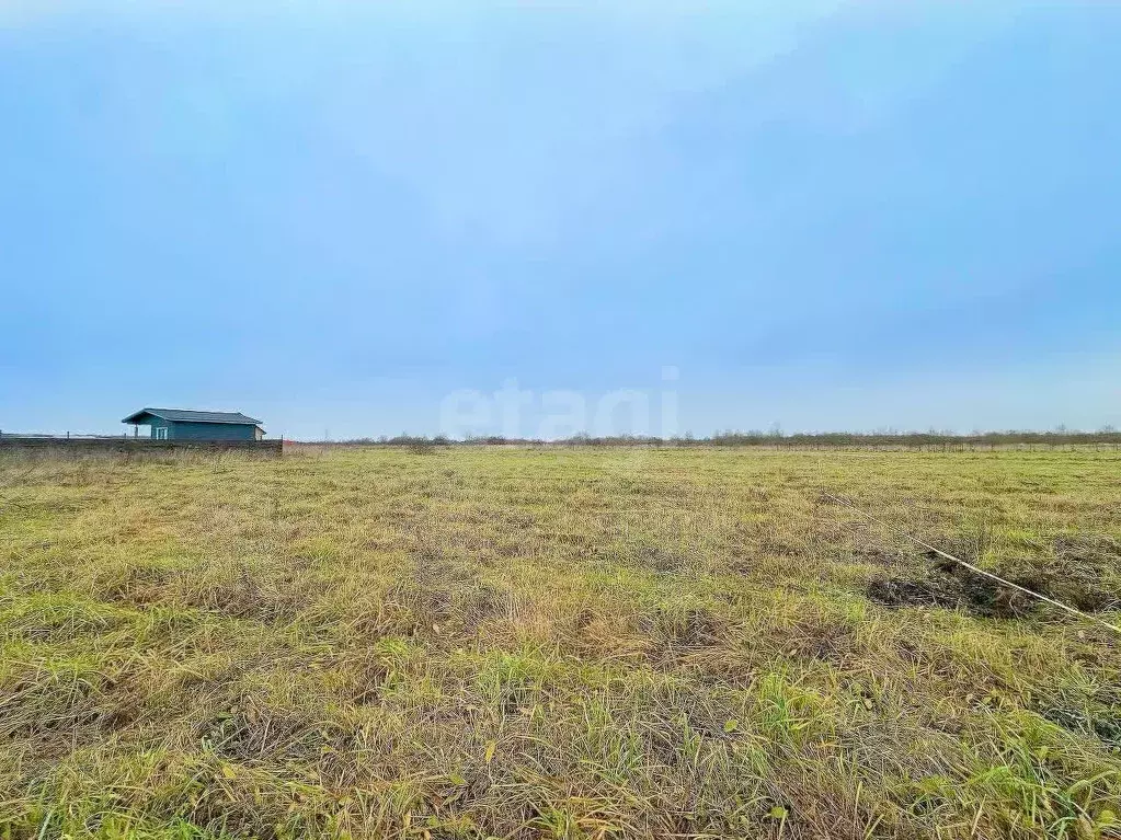 Участок в Ярославская область, Ярославский муниципальный округ, д. ... - Фото 1