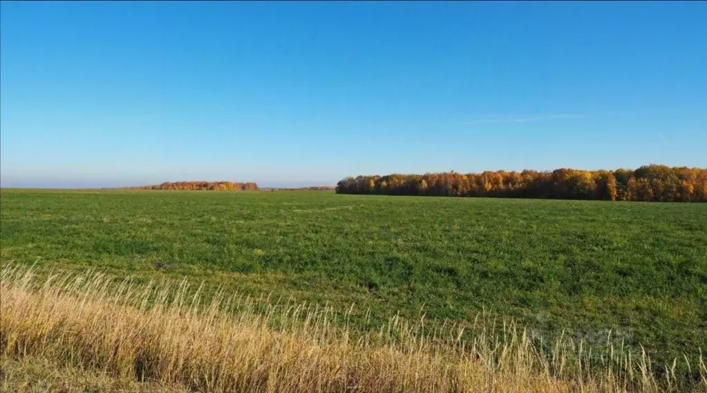 Участок в Нижегородская область, Сокольский муниципальный округ, д. ... - Фото 1