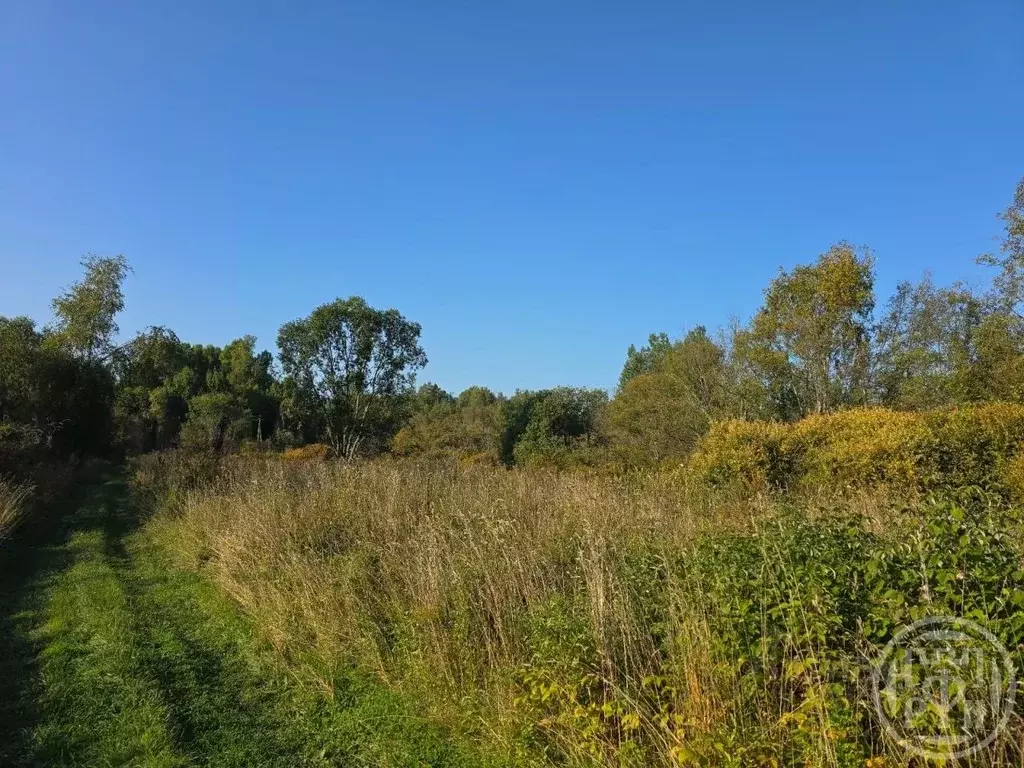 Участок в Ленинградская область, Приозерский район, Ларионовское ... - Фото 1
