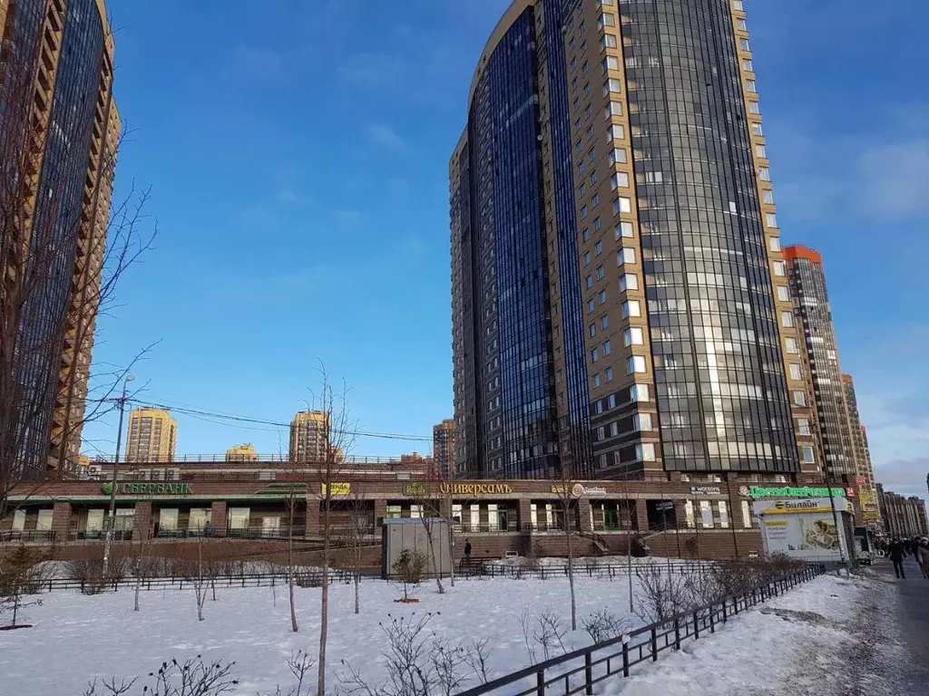 1-к кв. Санкт-Петербург пос. Парголово, ул. Федора Абрамова, 4 (38.4 ... - Фото 1