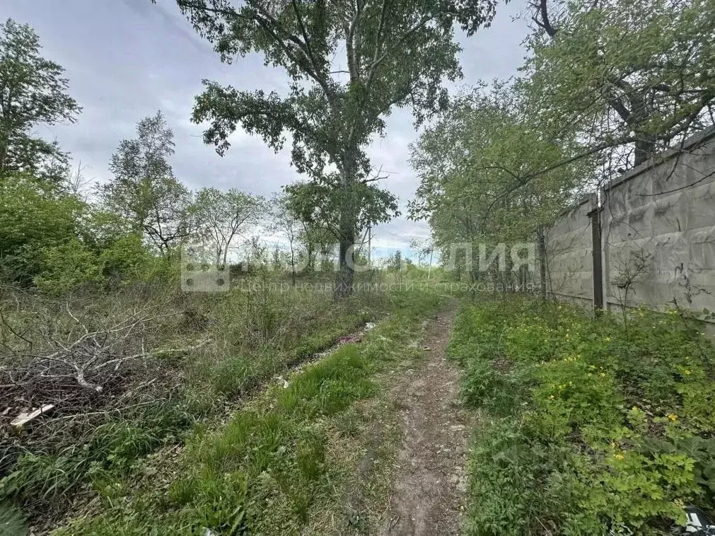 Участок в Амурская область, Белогорск ул. Стрелка (11.0 сот.) - Фото 2