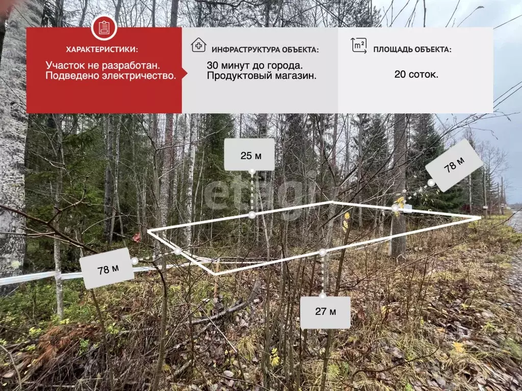 Участок в Архангельская область, Приморский муниципальный округ, ... - Фото 1